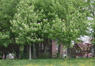 Lattrop en Fleringen strijden mee om de groenste straat van Overijssel