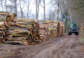 Tijdens een wandeling uitleg boswachters over de werkzaamheden in het Springendal en Dal van de Mosbeek