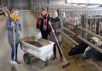 Ervencoach als wegwijzer bij het maken van keuzes