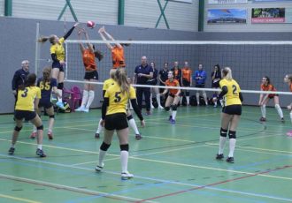 Een volleybalzaterdag om naar uit te kijken