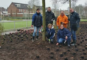 Stadtlohnallee Weerselo gaat voor Green to Colour