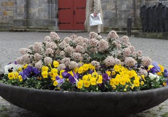 Bloembakken in Ootmarsum fleuren het stadje op