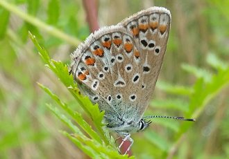 Aftrap wandelingen in het Springendal: geniet van het voorjaar