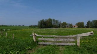 Kruiden en mindfulness-wandeling rond Tubbergen