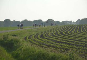 Derde dag ‘bergen’ beklommen tijdens de Wandelvierdaagse