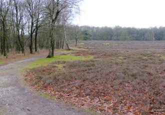 Informatiebijeenkomst natuurherstel Springendal-Dal van de Mosbeek