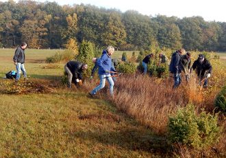 Provincie Overijssel geeft subsidies voor vrijwilligerswerk in natuur en landschap