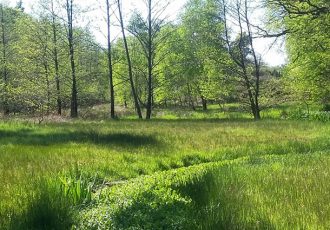 Excursie door het hart van het Springendal