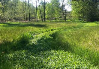 Excursie door het hart van het Springendal