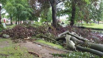 Statige beuk niet bestand tegen heftige onweersbui