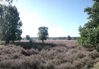 Late avondwandeling door het Springendal