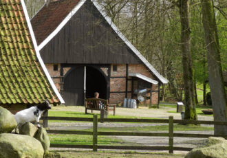 Het is stil in het museumpark; niet stil achter de schermen