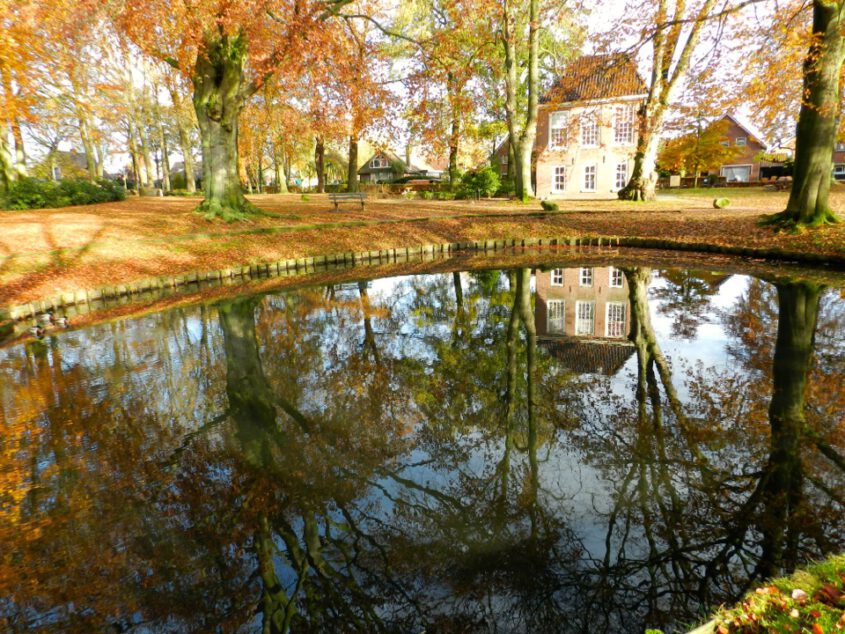 Wie helpt de vijver van Engels’ tuin aan vis