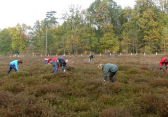 Opstarten vrijwilligersactiviteiten Staatsbosbeheer