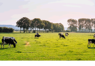 Overijssel investeert 3,75 miljoen in leefbaarheid op het platteland