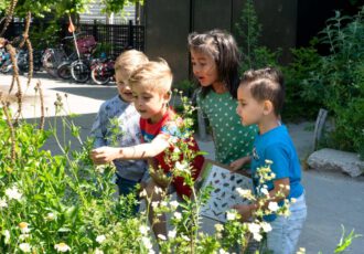 Cultuurfonds Overijssel investeert in werkkisten groene pleinen basisscholen