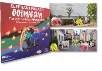 Kleurrijke Elephant Parade in Ootmarsum in teken van bescherming Aziatische olifant