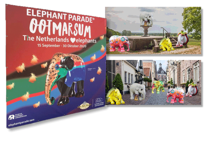 Kleurrijke Elephant Parade in Ootmarsum in teken van bescherming Aziatische olifant