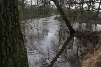 Provinciaal Inpassingsplan (PIP) Natura 2000 Dinkeldal Zuid ligt ter inzage