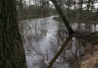 Provinciaal Inpassingsplan (PIP) Natura 2000 Dinkeldal Zuid ligt ter inzage