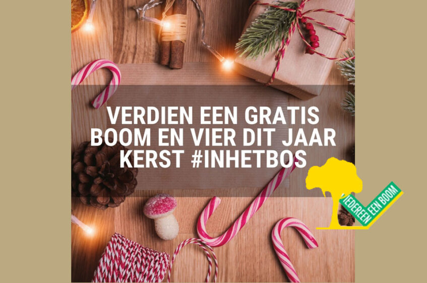 KERSTBOOM BINNEN, DAN OOK EEN BOOM BUITEN