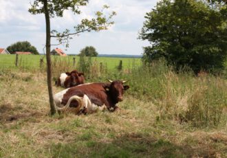 Opkoopregeling LNV tot eind februari opengesteld