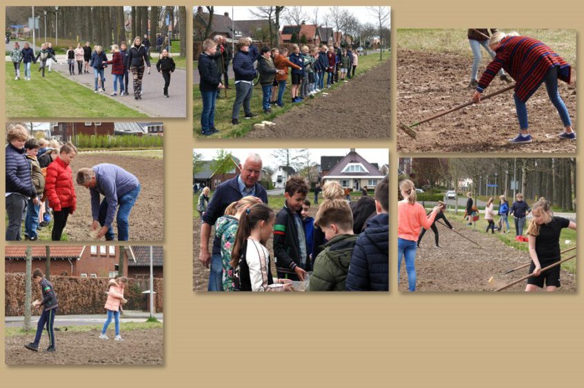 Leerlingen groep 6 de Meander zaaien ‘hun tuintje’ in