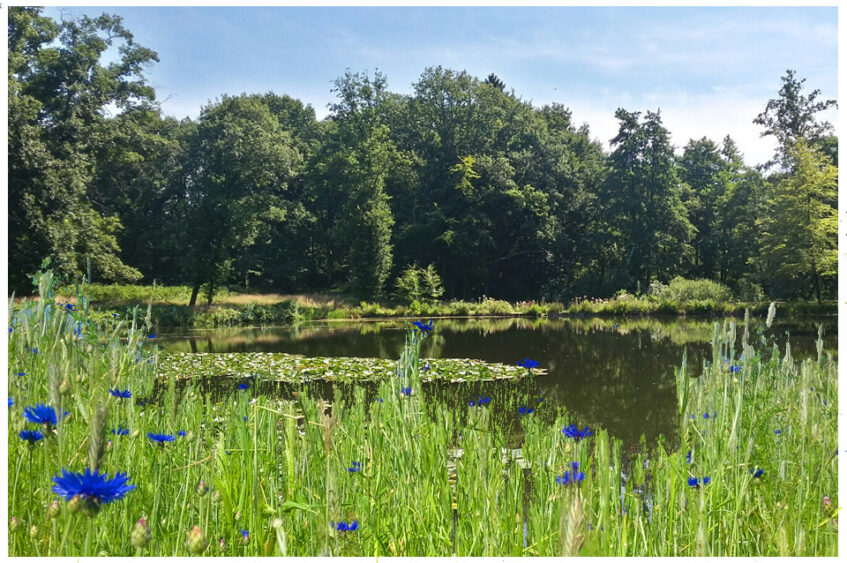 Natuurexcursies Springendal weer van start