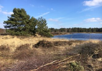 OpStap in natuurgebied de Bergvennen