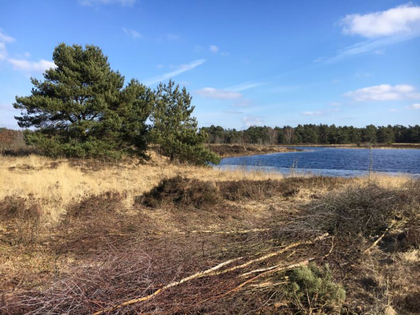 OpStap in natuurgebied de Bergvennen