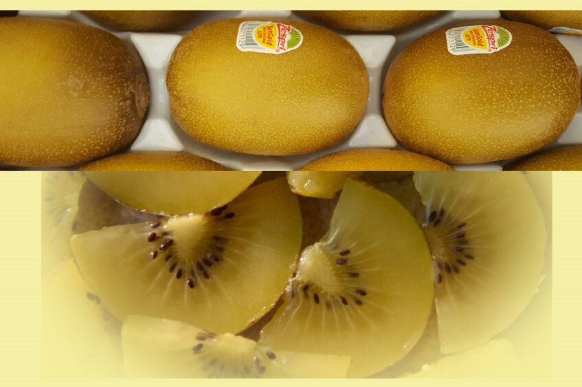 Kennismaken met Zespri-kiwi’s op de markt in Ootmarsum