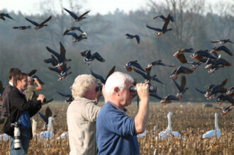 Beleef de Vogeltrek in Ottershagen met de Euro Birdwatch