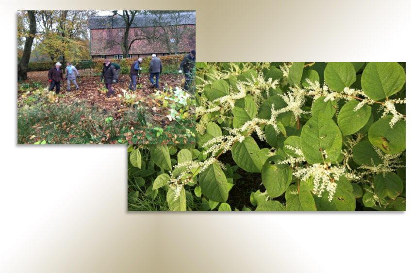 Natuurlijk vrijwilliger in de natuur