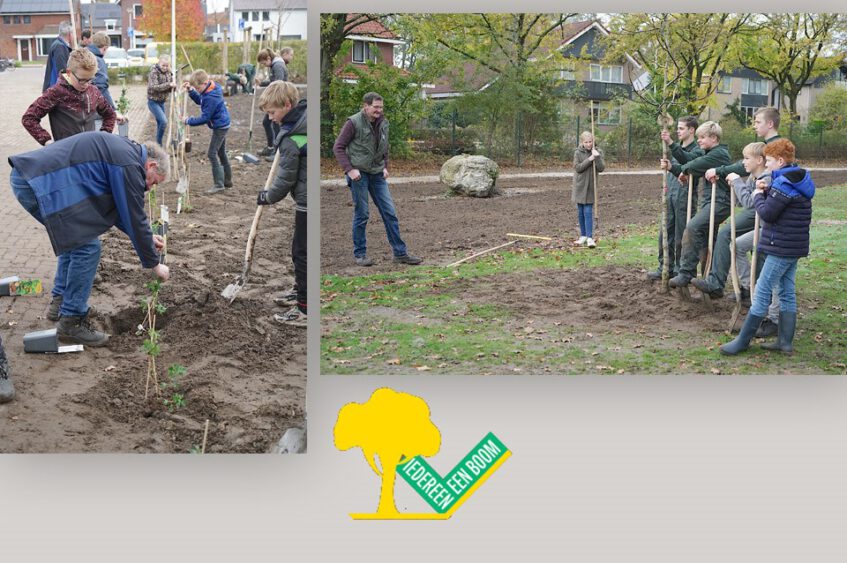 Dinkelland accentgemeente Nationale Boomfeestdag 2021