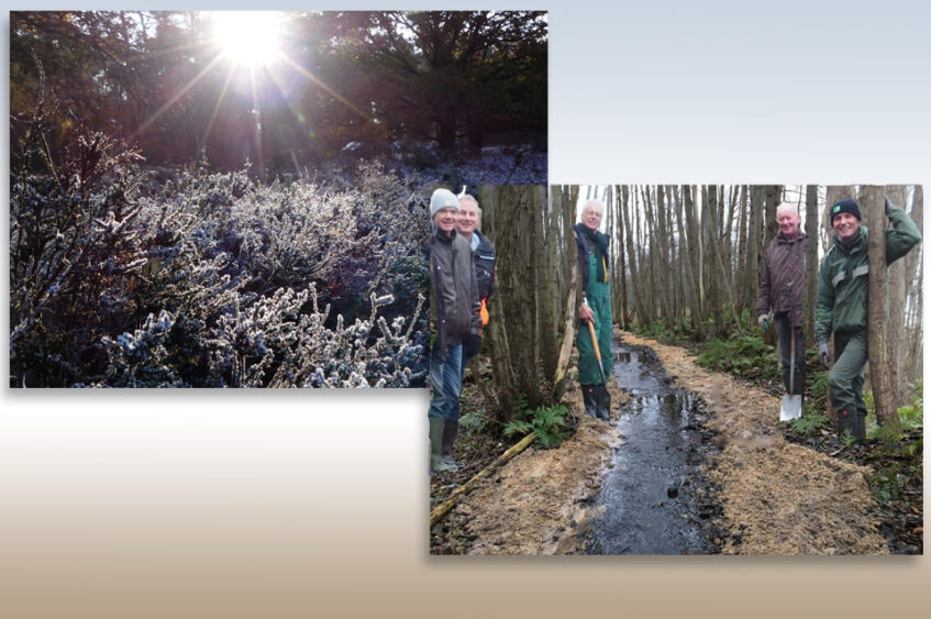 Vrijwilligerswerk in de natuur op anderhalve meter