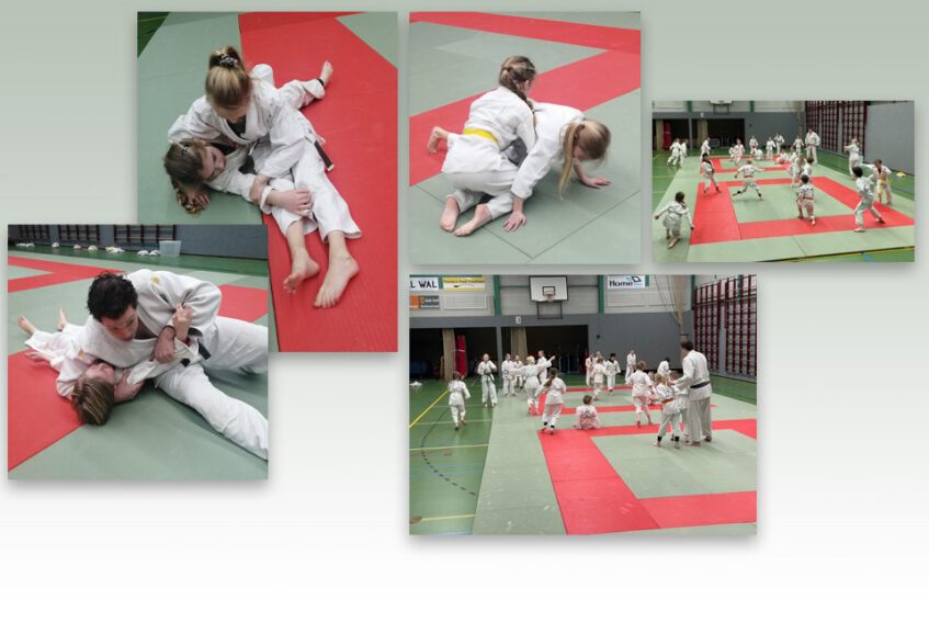 Judolessen op de Meander