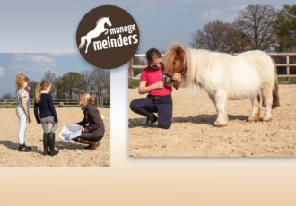 Pony Power voor Kids van start bij Manege Meinders