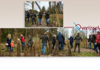 Natuur Overijssel is 21.000 bomen rijker