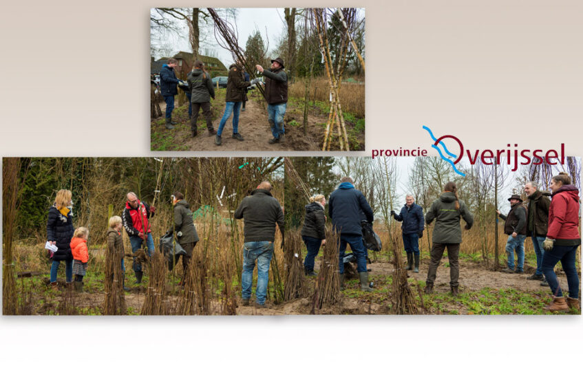 Natuur Overijssel is 21.000 bomen rijker