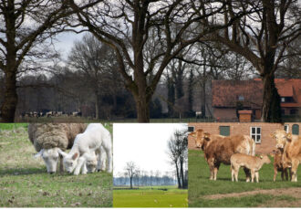 Kennissessie voor het buitengebied van Noordoost-Twente