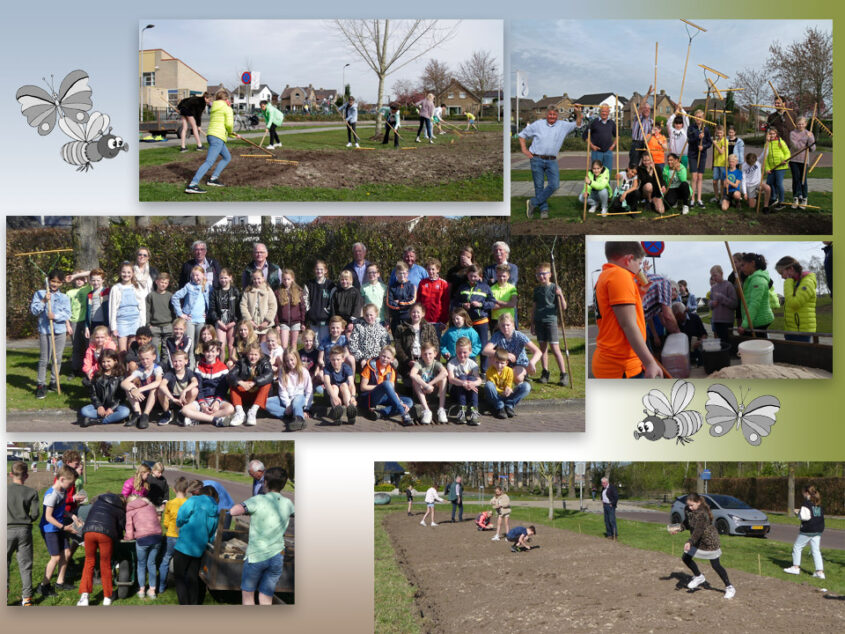 Leerlingen de Meander in actie voor de vlinder en de bij