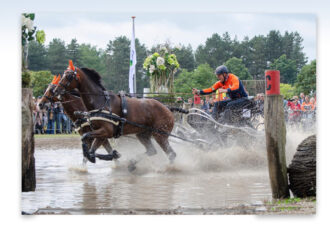 Raymond Letteboer wint met zijn tweespan