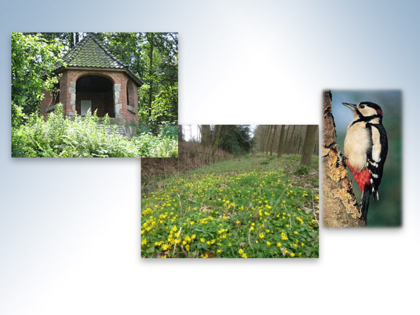 Spirituele Natuurwandeling Tankenberg      