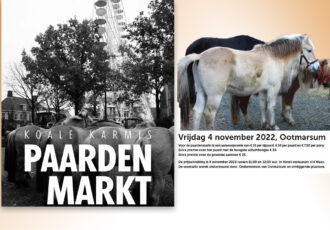 Paardenmarkt tijdens Koale Karmis