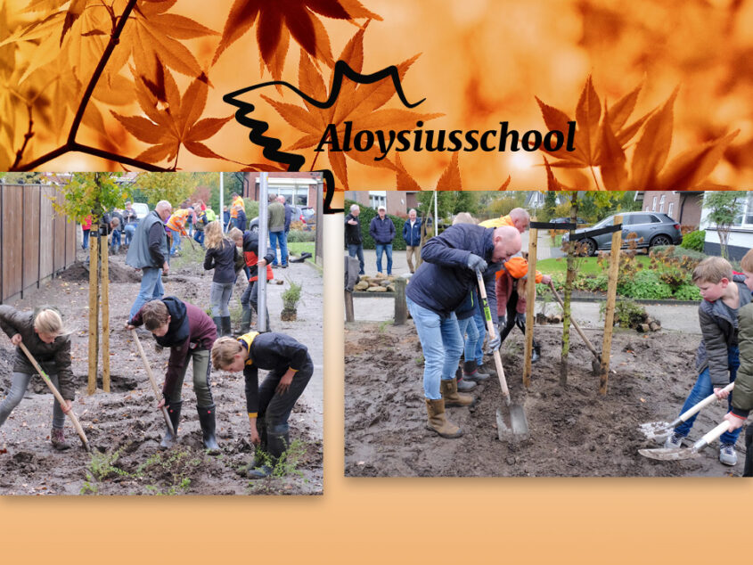 Basisschoolleerlingen uit Weerselo vieren Nationale Boomfeestdag