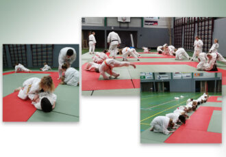 Judolessen op de Meander