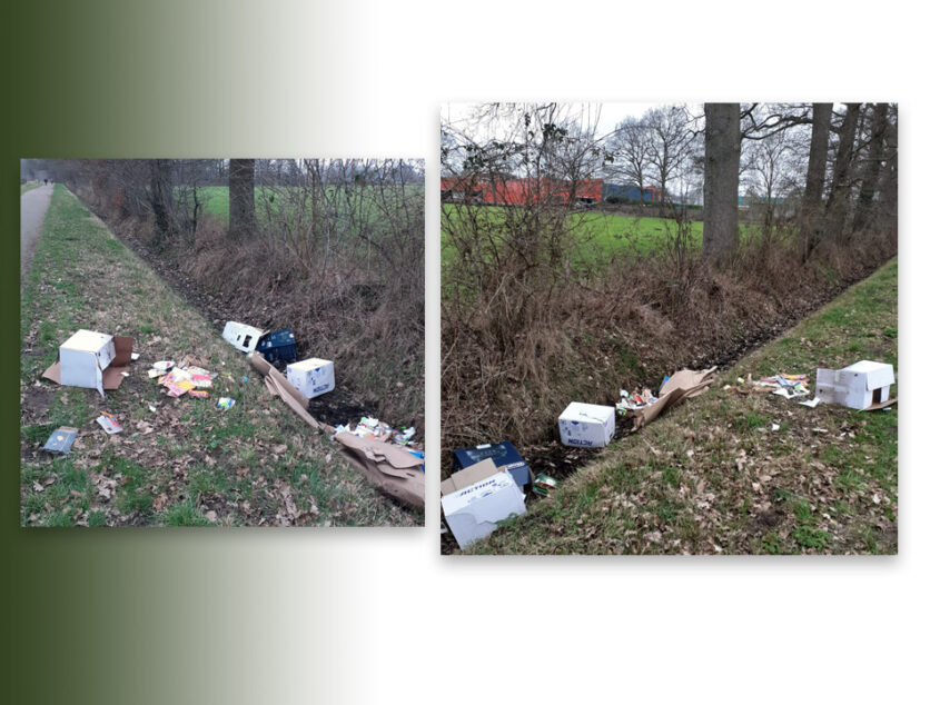 Siepelonaardigheden: Wie haalt dit in zijn of haar hoofd