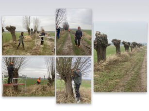 Fijne werkmorgen in de natuur