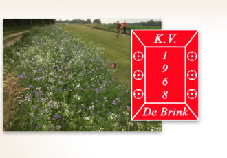 Klootschietmiddag KV de Brink op 1 april