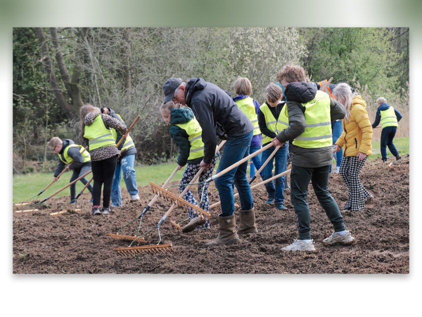 Dinkellandse jeugd zet zich in voor bijen en vlinders